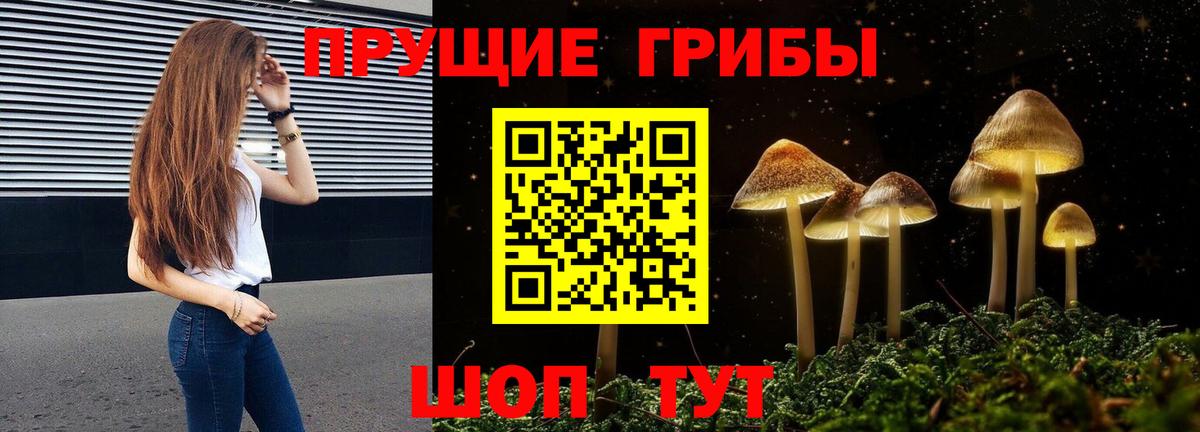 Галлюциногенные грибы Psilocybine cubensis  Псилоцибиновые грибы Cubensis  Вход с VPN  Удомля 
